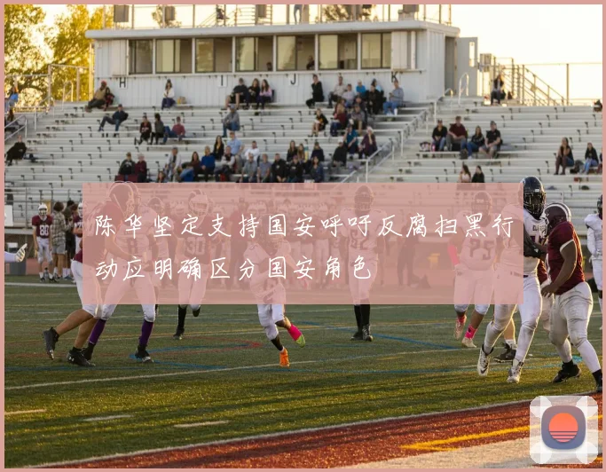 陈华坚定支持国安呼吁反腐扫黑行动应明确区分国安角色